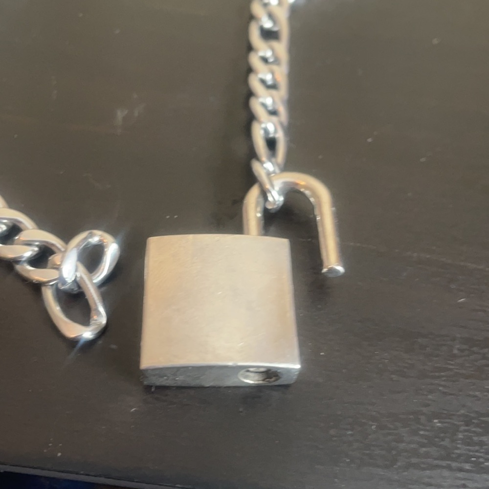 Link Chain Necklace - Picture 3 of 4